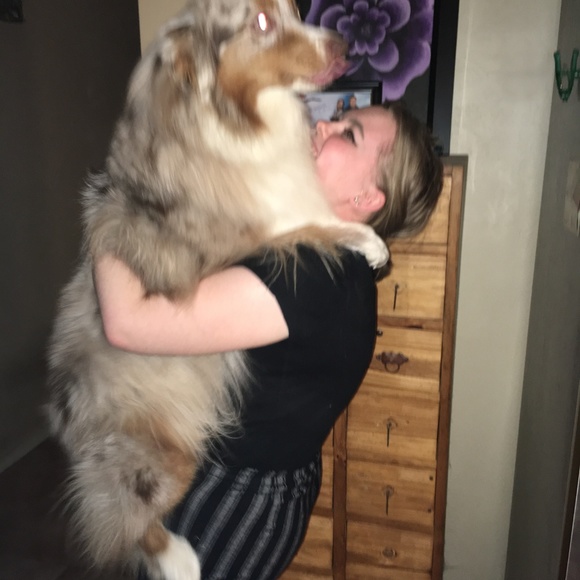 Meet your Posher, Ayla - Picture 3 of 3